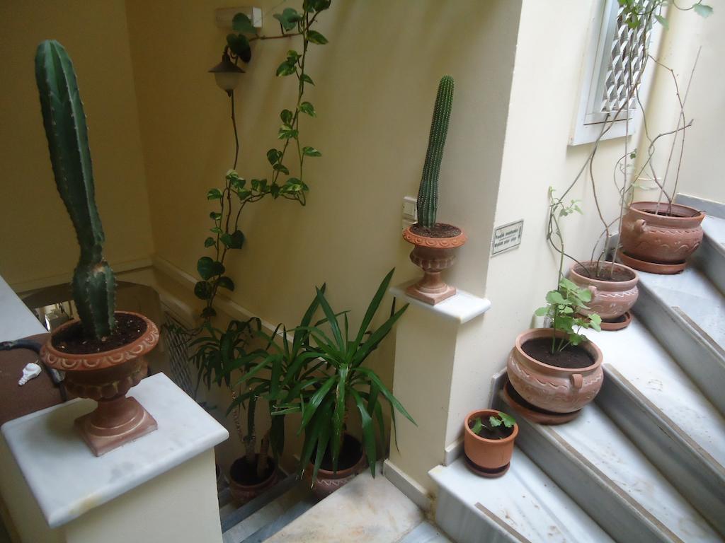 Appartement En